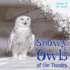 Snowy Owls of the Tundra