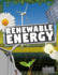Renewable Energy (Climate Change: Our Impact on Earth)