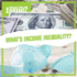 What's Income Inequality? (What's the Issue? )