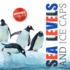 Sea Levels and Ice Caps (Environmental Issues)