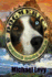 Dogmerica: Where Dogs Rule