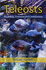 Teleosts: Physiology, Evolution and Classification