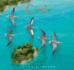 Circle