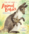 Find Out About Animal Babies