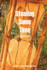 Stealing Some Time: Volume Two
