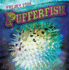 Pufferfish