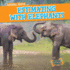 Estimating with Elephants
