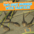 Two-Digit Numbers With Tadpoles (Animal Math)