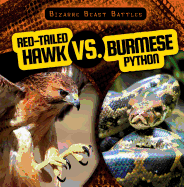 Red-Tailed Hawk Vs. Burmese Python (Bizarre Beast Battles)