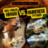 Red-Tailed Hawk Vs. Burmese Python (Bizarre Beast Battles)