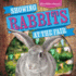 Showing Rabbits at the Fair