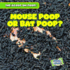 Mouse Poop Or Bat Poop? (Scoop on Poop)
