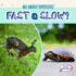 Fast Or Slow? (All About Opposites)