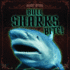 Bull Sharks Bite!