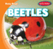 Beetles (Busy Bugs; Early Reader)