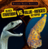 Black Mamba Vs. Blue-Ringed Octopus (Bizarre Beast Battles)