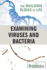 Examining Viruses and Bacteria