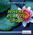 Where Plants Grow (Let's Find Out! : Plants)