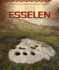 The Esselen (Spotlight on the American Indians of California)