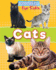 Cats (Cool Pets for Kids)