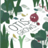 Otis Grows
