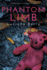 Phantom Limb: a Gripping Psychological Thriller