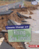 Climate Change and Rising Sea Levels Format: Library Bound