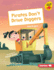 Pirates Don't Drive Diggers Format: Library Bound