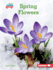 Spring Flowers Format: Library Bound
