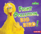 Fight Pollution, Big Bird! Format: Paperback
