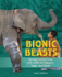 Bionic Beasts: Saving Animal Lives With Artificial Flippers, Legs, and Beaks