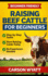 Raising Beef Cattle For Beginner's Guide