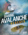 Daring Avalanche Rescues (Rescued! )