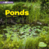 Ponds: a 4d Book (Bodies of Water)