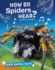 How Do Spiders Hear?
