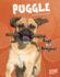 Puggle: Pugs Meet Beagles! (Top Hybrid Dogs)
