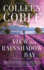 The View From Rainshadow Bay (a Lavender Tides Novel, 1)