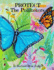 Protect The Pollinators