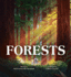 Forests (Adventure Through Nature)