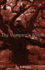 The Vampire's Witch: Rising