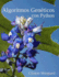 Algoritmos Gen�ticos Con Python (Spanish Edition)