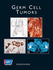 Germ Cell Tumors Raghavan