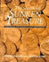 The Search for Sunken Treasure: Exploring the World's Great Shipwrecks