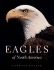 Eagles of North America
