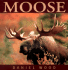 Moose