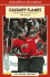 Calgary Flames: Fire on Ice (Amazing Stories)