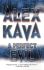 A Perfect Evil