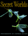 Secret Worlds