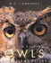 Owls the Silent Fliers Revised Edition