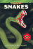 Snakes (Investigate Series)